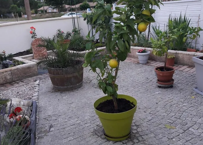 Holiday home Maison Proche Sur Bassin D Arcachon *